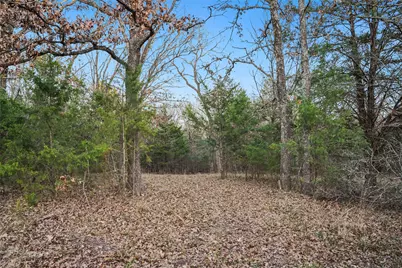 344 Rs County Road 4254, Point, TX 75472 - Photo 5