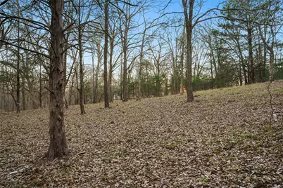 344 Rs County Road 4254, Point, TX 75472 - Photo 13