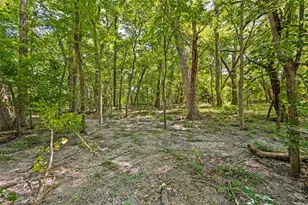 555 Yowell Hill Rd, Tom Bean, TX 75491 - Photo 29