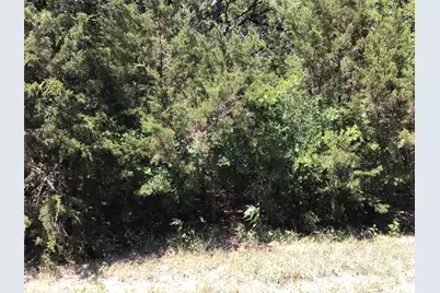 44021 Fringewood Drive, Whitney, TX 76692 - Photo 11