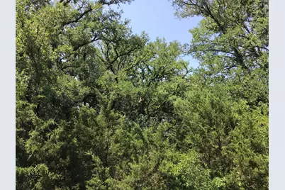 44021 Fringewood Drive, Whitney, TX 76692 - Photo 9