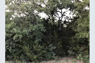 44021 Fringewood Drive, Whitney, TX 76692 - Photo 3
