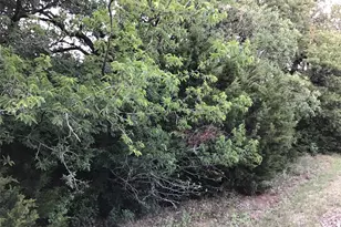 44021 Fringewood Dr, Whitney, TX 76692 - Photo 1