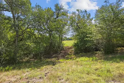 39 Acres Brown Road, Sherman, TX 75090 - Photo 23