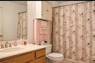 [Address not provided], Cedar Hill, TX 75104 - Photo 9