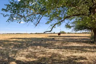 777 Lcr 463, Mexia, TX 76667 - Photo 35