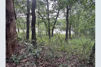 153 Post Oak Cove, Sunset, TX 76270 - Photo 3