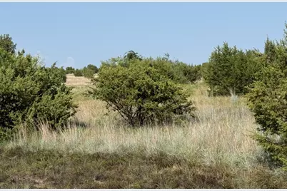 706 Rory Crossing, Lipan, TX 76462 - Photo 3