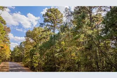 Tbd County Road 4558, Winnsboro, TX 75494 - Photo 13
