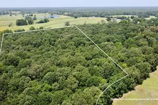 Tract 6 Cr 44400, Powderly, TX 75473 - Photo 1