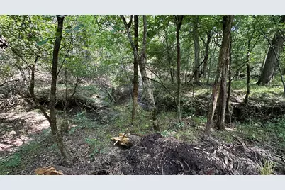 000 E Farm Road 71, Dike, TX 75437 - Photo 5
