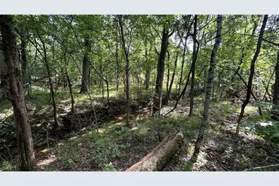 000 E Farm Road 71, Dike, TX 75437 - Photo 3