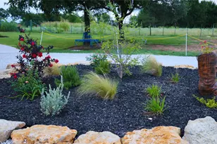 4167 Hwy 67, Rainbow, TX 76077 - Photo 5