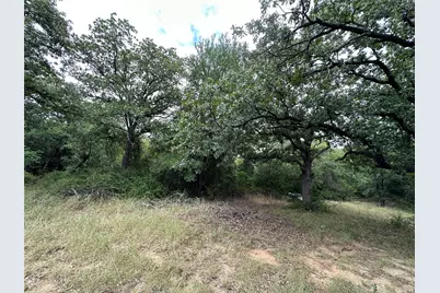 176 Live Oak Road, Springtown, TX 76082 - Photo 13