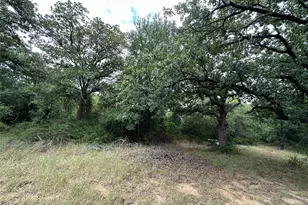 176 Live Oak Rd, Springtown, TX 76082 - Photo 13