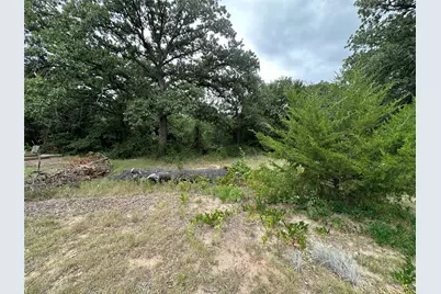 176 Live Oak Road, Springtown, TX 76082 - Photo 9