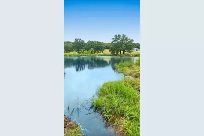 9224 County Road 1200, Athens, TX 75751 - Photo 5
