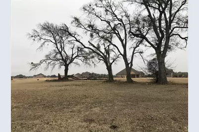 1922 Running Deer Lane, Gunter, TX 75058 - Photo 3