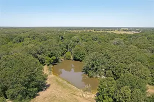 822 Private Rd 7370, Point, TX 75472 - Photo 5