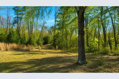 562 Cr 4430, Winnsboro, TX 75494 - Photo 5