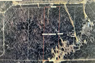 690 Private Road 6926 Rd, Eustace, TX 75124 - Photo 3
