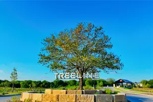 8604 Treeline Pkwy, Justin, TX 76247 - Photo 19