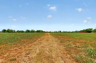 8487 Co Rd 308, Terrell, TX 75161 - Photo 39