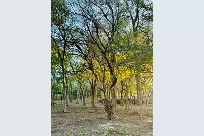5631 Melrose Lane, Midlothian, TX 76065 - Photo 11