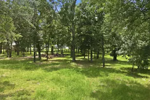 Lot 24 Rs County Road 3500, Emory, TX 75440 - Photo 15