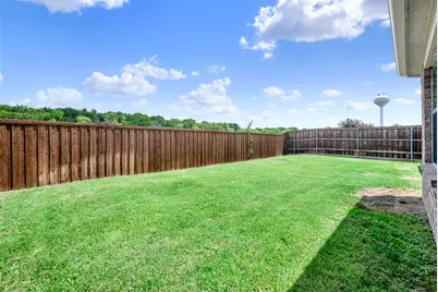 11217 Gibbons Creek Drive, Frisco, TX 75036 - Photo 29