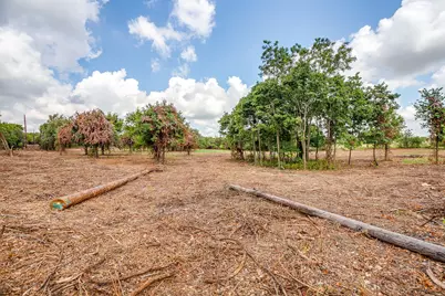 890 Clover Drive, Poolville, TX 76487 - Photo 9