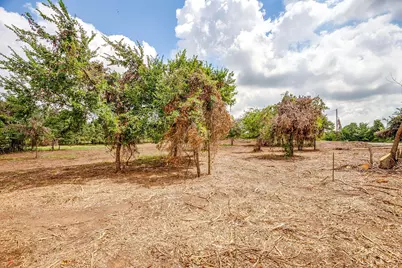 890 Clover Drive, Poolville, TX 76487 - Photo 7