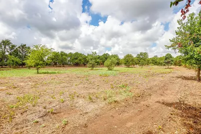 890 Clover Drive, Poolville, TX 76487 - Photo 5