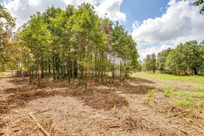 Tbd-2 Clover Drive, Poolville, TX 76487 - Photo 11