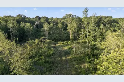 Tbd 21 Acres Cr 3116, Winona, TX 75792 - Photo 3