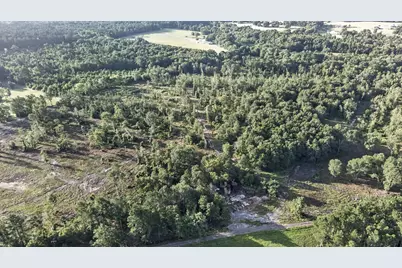 Tbd 21 Acres Cr 3116, Winona, TX 75792 - Photo 7
