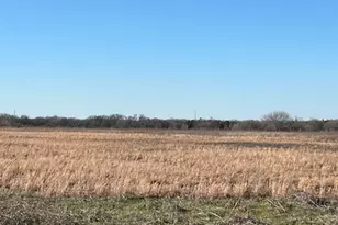 Tbd County Road 1240, Savoy, TX 75479 - Photo 1