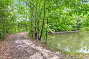 16775 State Hwy 64, Ben Wheeler, TX 75754 - Photo 37