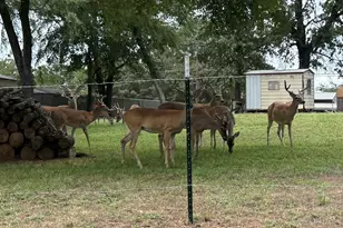 18251 Rocky Point Run, Mabank, TX 75156 - Photo 19