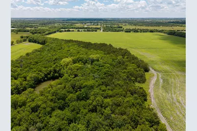 100+/-Ac Fm 36, Caddo Mills, TX 75135 - Photo 15