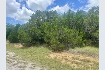 25058 Forrest Drive, Whitney, TX 76692 - Photo 1