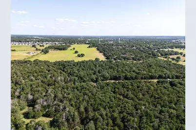 Tbd Fm 1655 Trail, Alvord, TX 76225 - Photo 13