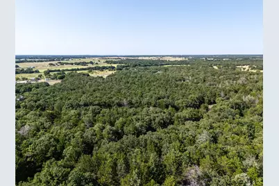 Tbd Fm 1655 Trail, Alvord, TX 76225 - Photo 9