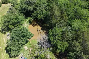 3700 Co Rd 4040, Whitewright, TX 75491 - Photo 11