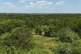 0 (Off) Hcr 3255, Mount Calm, TX 76673 - Photo 1