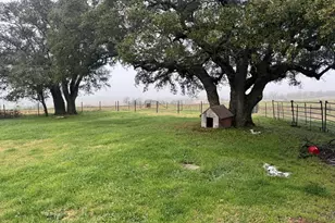12233 W Fm 8, Stephenville, TX 76401 - Photo 17
