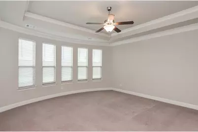 16696 Trumpet Vine Road, Frisco, TX 75033 - Photo 19