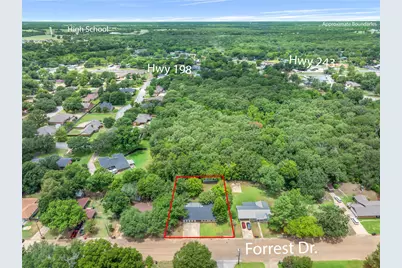 1451 Forrest Drive, Canton, TX 75103 - Photo 25