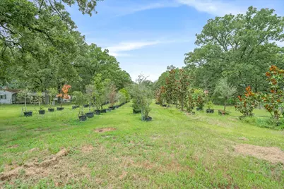 1709 Vz County Road 2502, Canton, TX 75103 - Photo 29