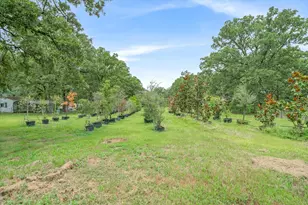 1709 Vz County Road 2502, Canton, TX 75103 - Photo 29